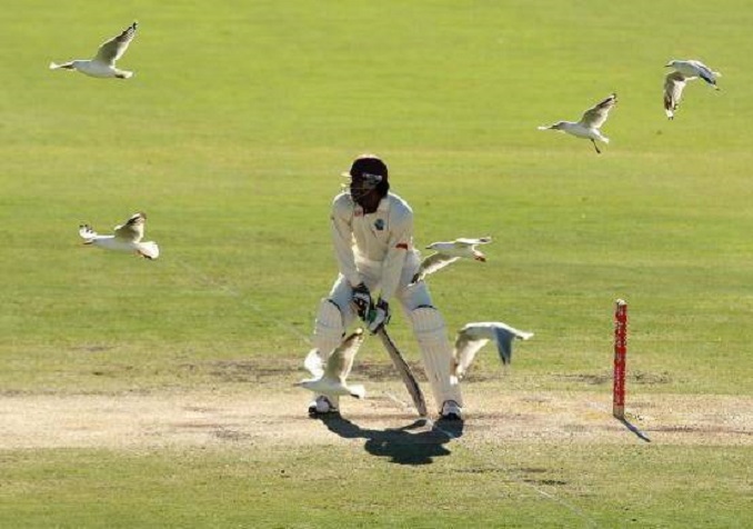 Chris Gayle only batsman to hit a six off a Test Match 1st ball #Cricket #WestIndies #ChrisGayle #Bangladesh #BANvWI #BANvsWI #WIvBAN #WIvsBAN #Windies #SohagGazi