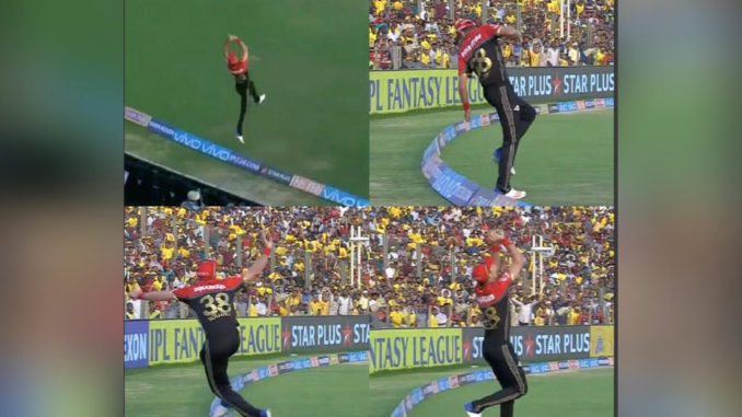 RCB player jumps from outside boundary to take Suresh Raina's catch