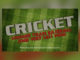 Jimmy Fallon includes mock ICC cricket ad in monologue Cricket Batting Bowling Fielding Wickets Century HD Wallpaper