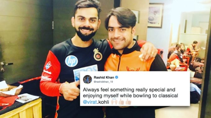 Rashid Khan Virat Kohli Sunrisers Hyderabad SRH IPL 2018 Indian Premier League Royal Challengers Bangalore RCB HD Wallpaper