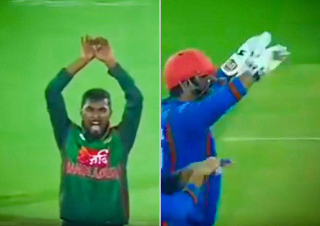 Afghanistan troll Bangladesh with 'Naagin' dance post whitewash #Afghanistan #Bangladesh #Cricket #MohammadShahzad